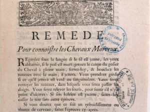 Réduction du temps de service : des mérites comparés de l’homéopathie et du remède de cheval. Article de Pierre Rodier, avocat des enseignants artistiques